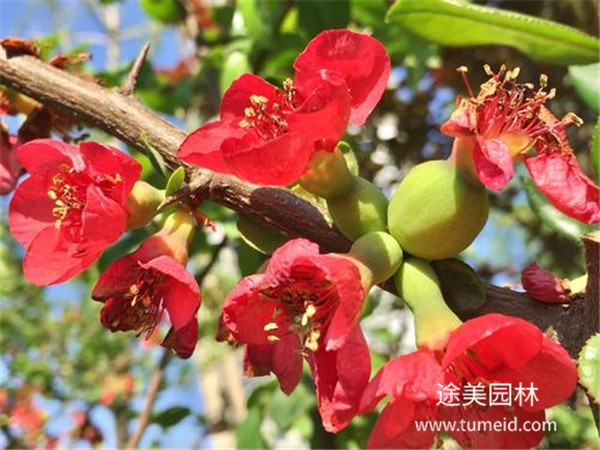 http://www.inxoo.com.cn/ch/30.html